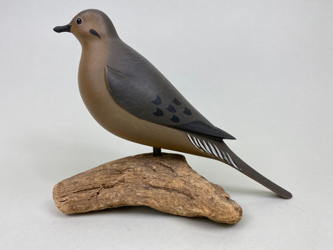 George Strunk Mourning Dove (#6149)