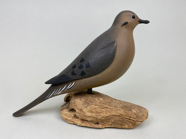 George Strunk Mourning Dove (#6149)