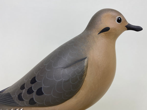 George Strunk Mourning Dove (#6149)
