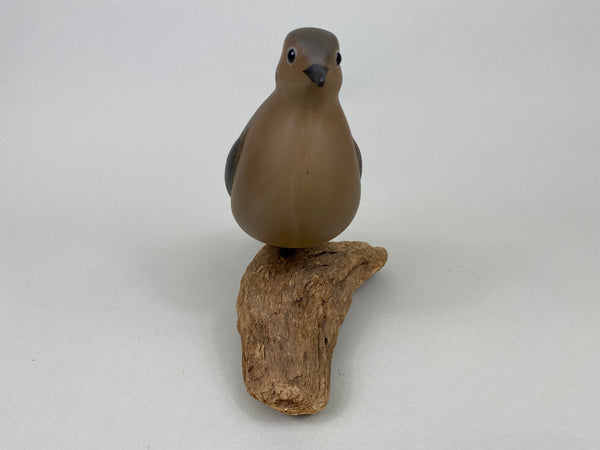 George Strunk Mourning Dove (#6149)
