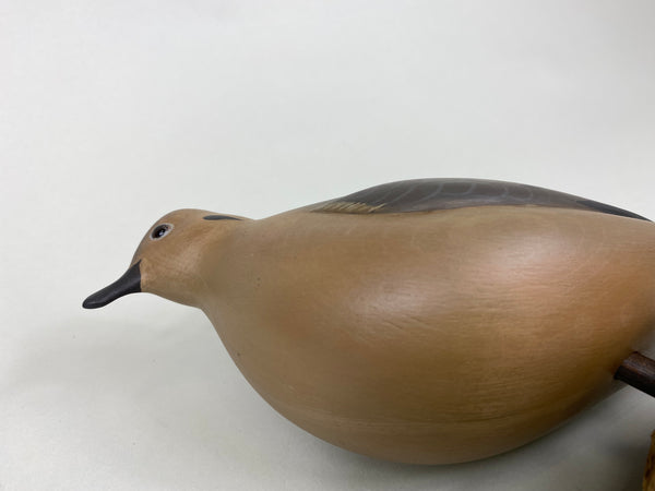 George Strunk Mourning Dove (#6149)
