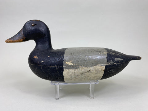 Charles Varnholts, Sr. Blue Bill Drake (#6172)