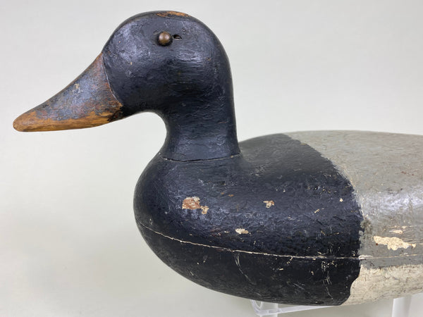 Charles Varnholts, Sr. Blue Bill Drake (#6172)