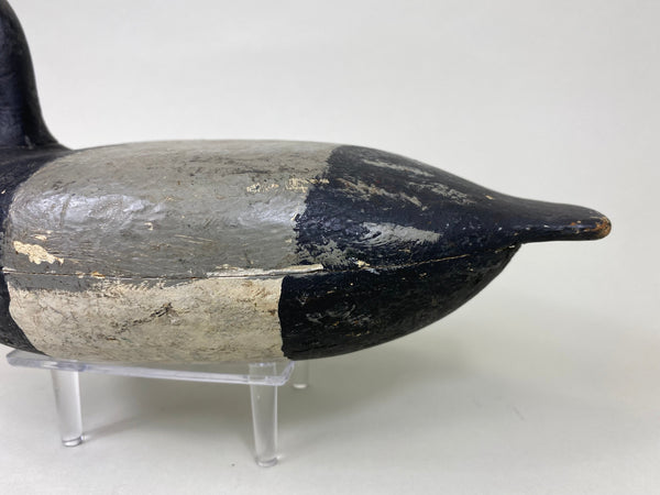 Charles Varnholts, Sr. Blue Bill Drake (#6172)