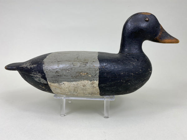 Charles Varnholts, Sr. Blue Bill Drake (#6172)