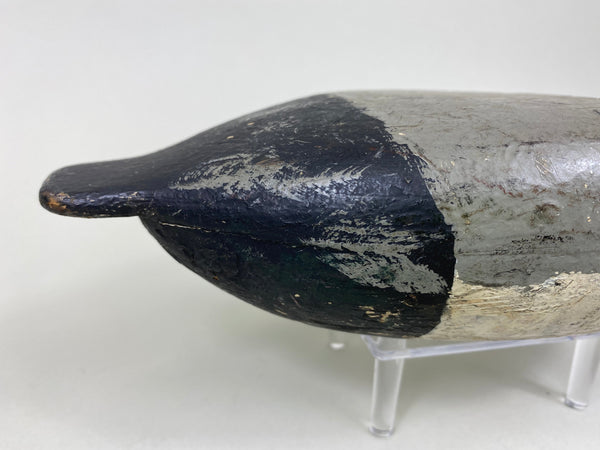 Charles Varnholts, Sr. Blue Bill Drake (#6172)