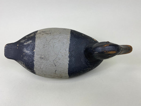 Charles Varnholts, Sr. Blue Bill Drake (#6172)