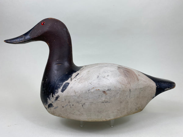 Marshall Williams Canvasback Drake (#6186)