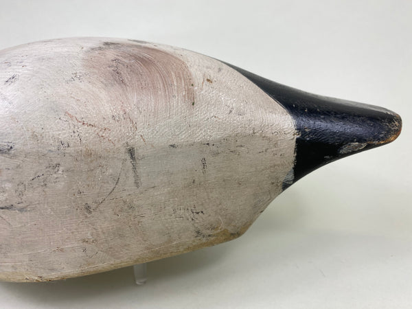 Marshall Williams Canvasback Drake (#6186)