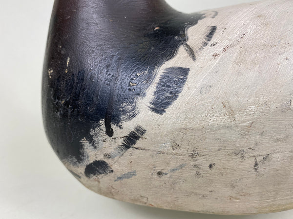 Marshall Williams Canvasback Drake (#6186)
