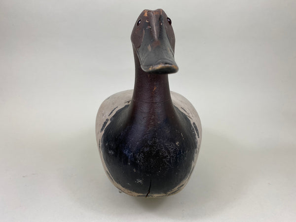 Marshall Williams Canvasback Drake (#6186)