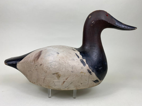Marshall Williams Canvasback Drake (#6186)