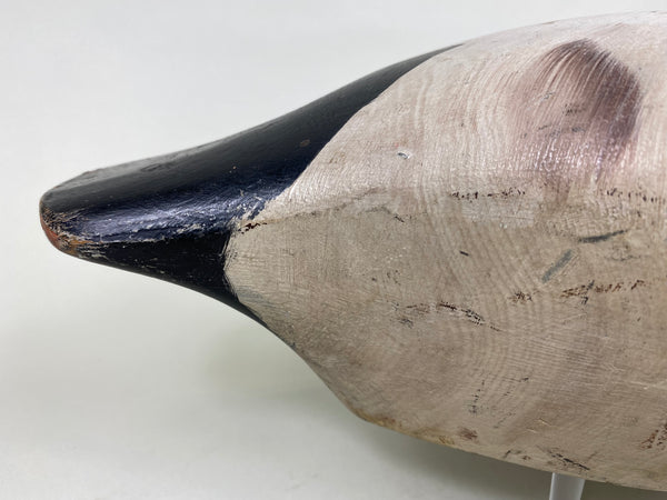 Marshall Williams Canvasback Drake (#6186)