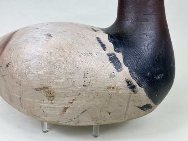 Marshall Williams Canvasback Drake (#6186)