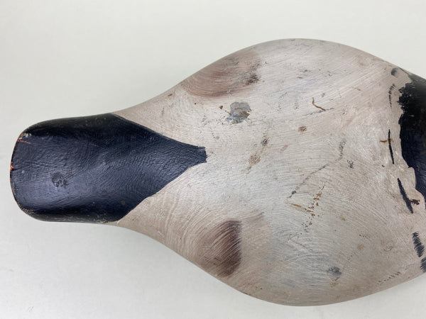 Marshall Williams Canvasback Drake (#6186)