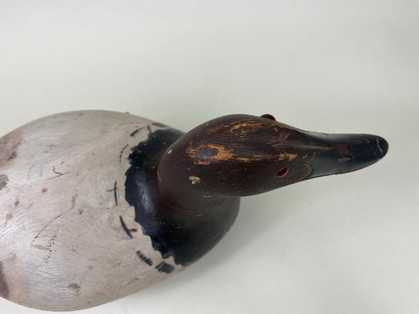 Marshall Williams Canvasback Drake (#6186)
