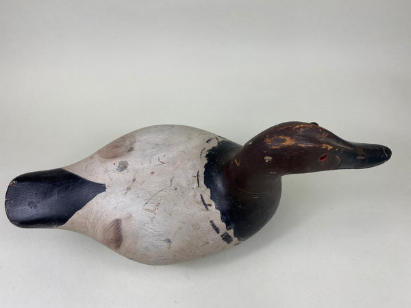 Marshall Williams Canvasback Drake (#6186)