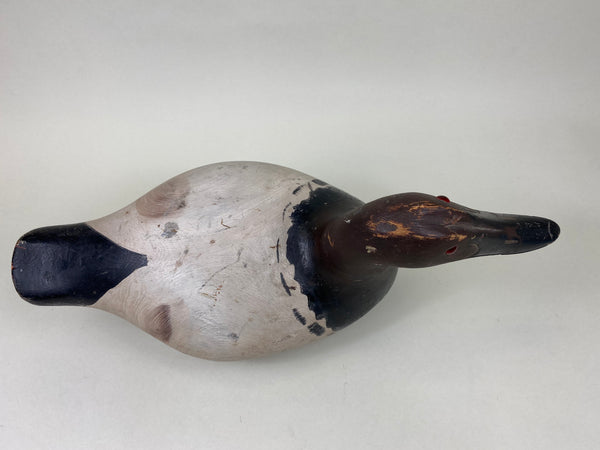 Marshall Williams Canvasback Drake (#6186)