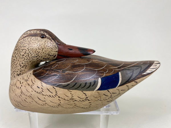 Charlie Moore Third Size Preening Mallard Hen (#6193)