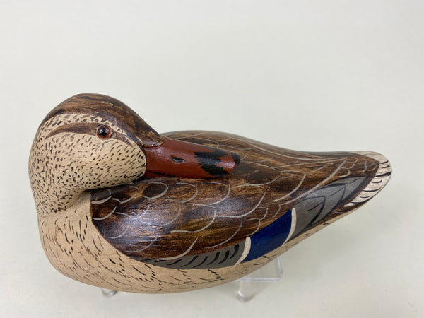 Charlie Moore Third Size Preening Mallard Hen (#6193)