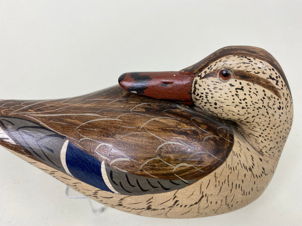Charlie Moore Third Size Preening Mallard Hen (#6193)