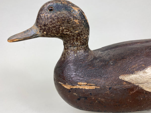Unknown Widgeon Drake, Circa 1930's (#6212)