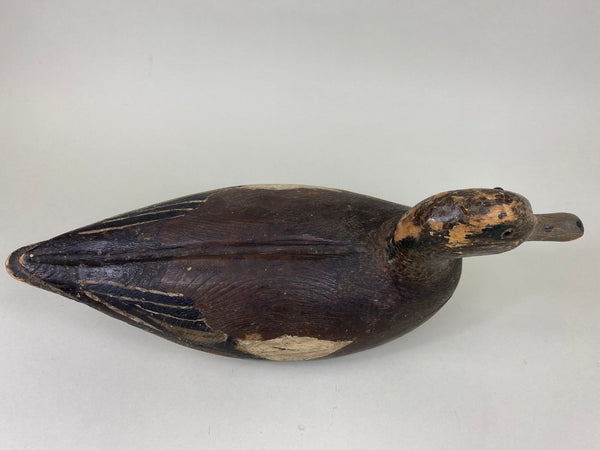 Unknown Widgeon Drake, Circa 1930's (#6212)