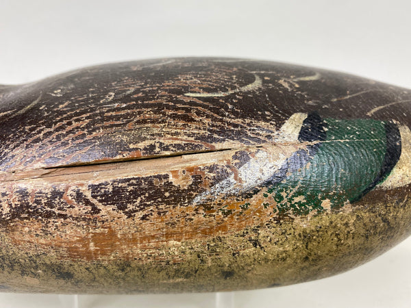 Mason Mallard Hen, Original Paint (#6240)