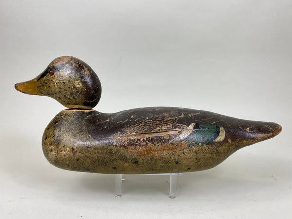 Mason Mallard Hen, Original Paint (#6240)