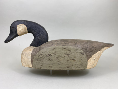 Herter's Canada Goose, Swimming Position (#6259)