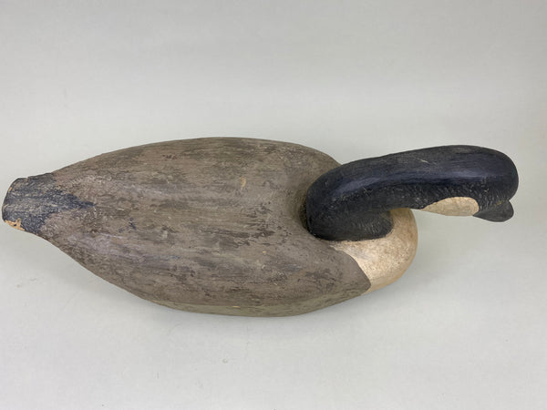 Herter's Canada Goose, Swimming Position (#6259)