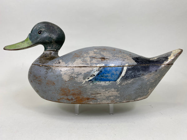 Mississippi River Mallard Drake (#6270)