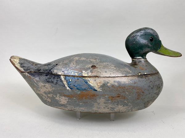 Mississippi River Mallard Drake (#6270)