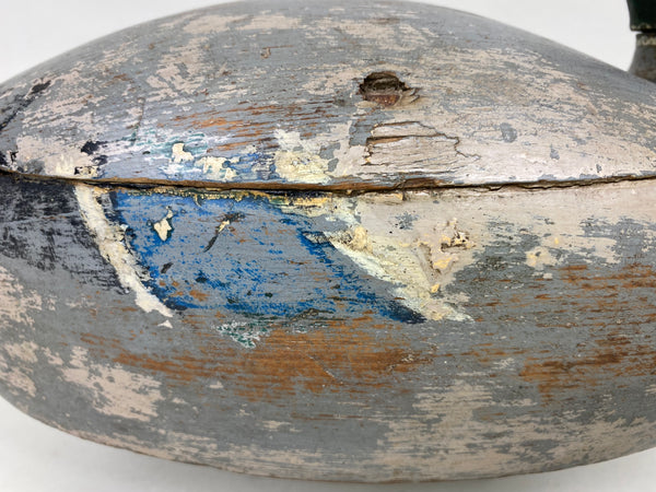 Mississippi River Mallard Drake (#6270)