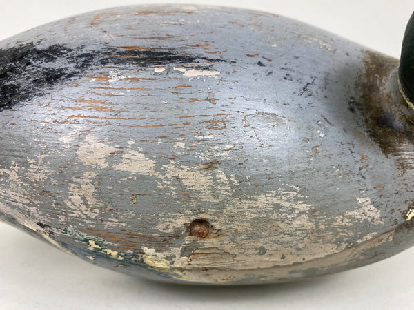 Mississippi River Mallard Drake (#6270)