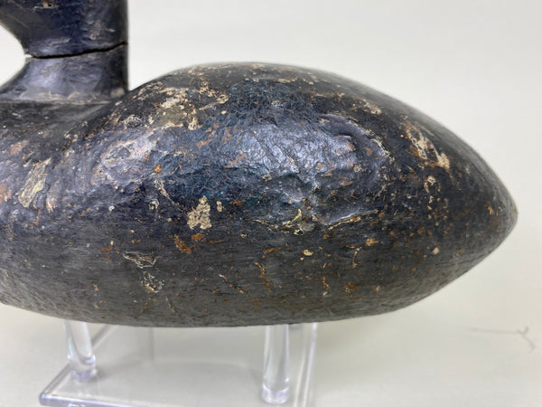 Early Blue Bill, Unknown, Circa 1910 (#6271)