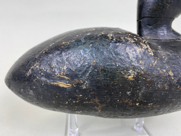 Early Blue Bill, Unknown, Circa 1910 (#6271)