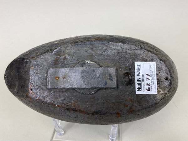 Early Blue Bill, Unknown, Circa 1910 (#6271)