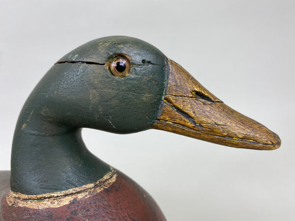 George Reinsinger Mallard Drake (#6277)