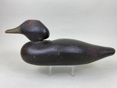 Dodge Black Duck, Circa 1890's (#6288)