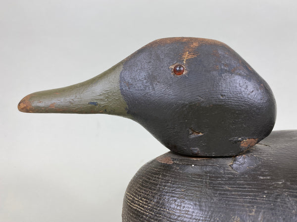 Dodge Black Duck, Circa 1890's (#6288)