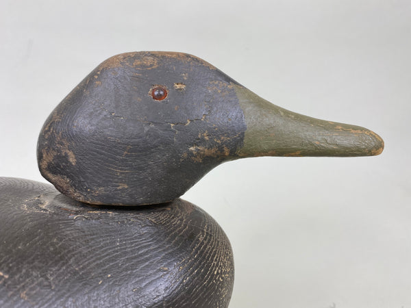 Dodge Black Duck, Circa 1890's (#6288)