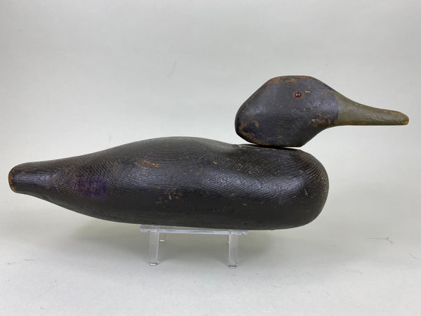 Dodge Black Duck, Circa 1890's (#6288)