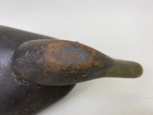 Dodge Black Duck, Circa 1890's (#6288)