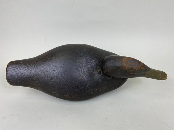 Dodge Black Duck, Circa 1890's (#6288)