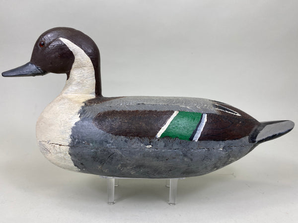 Illinois River Pintail Drake (#6314)