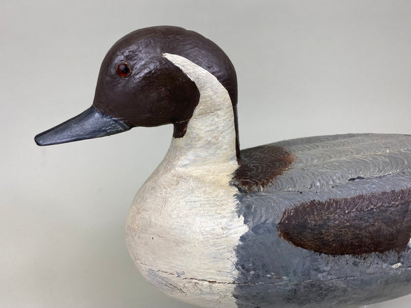 Illinois River Pintail Drake (#6314)