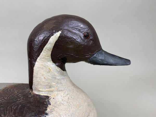Illinois River Pintail Drake (#6314)
