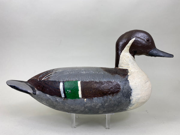 Illinois River Pintail Drake (#6314)