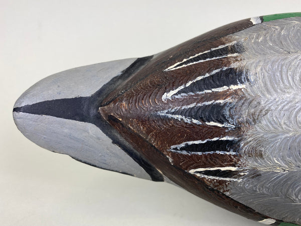 Illinois River Pintail Drake (#6314)